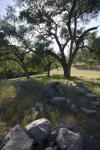 Rock Field