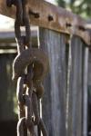 Chain