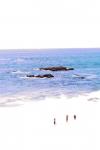 Laguna @ Lunch